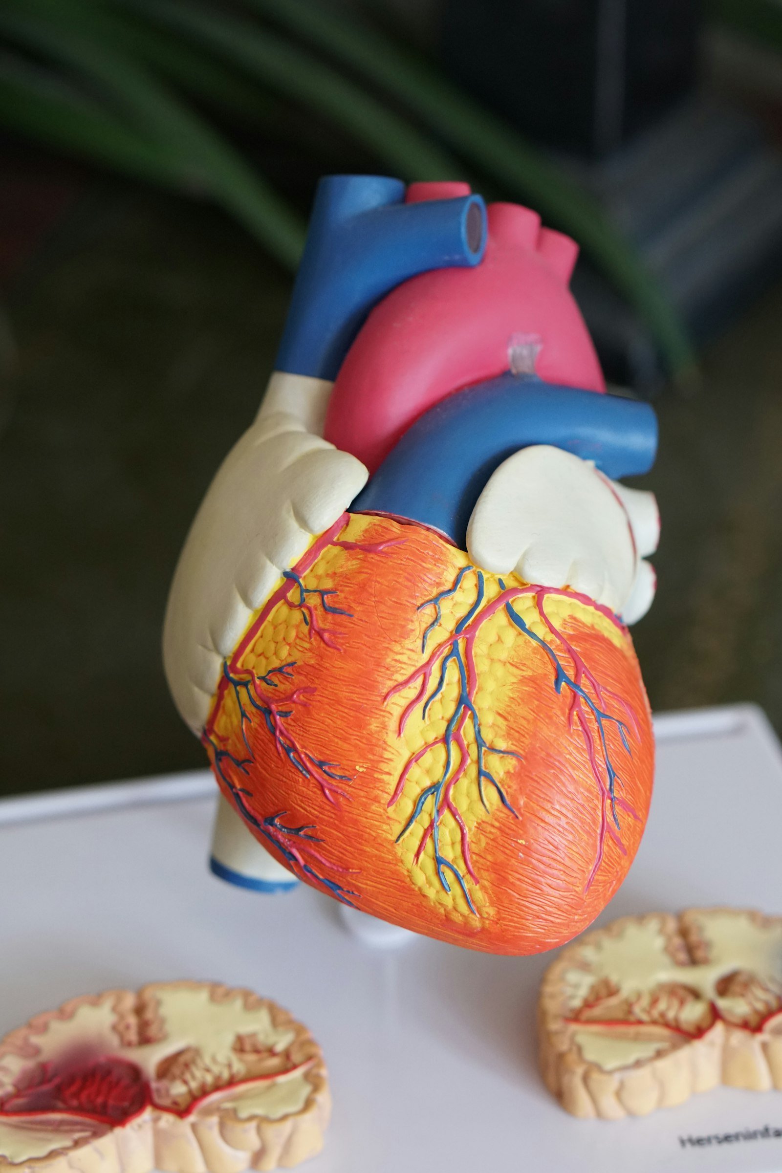 Profil Lipid: Mengapa Cek Kolesterol Penting
